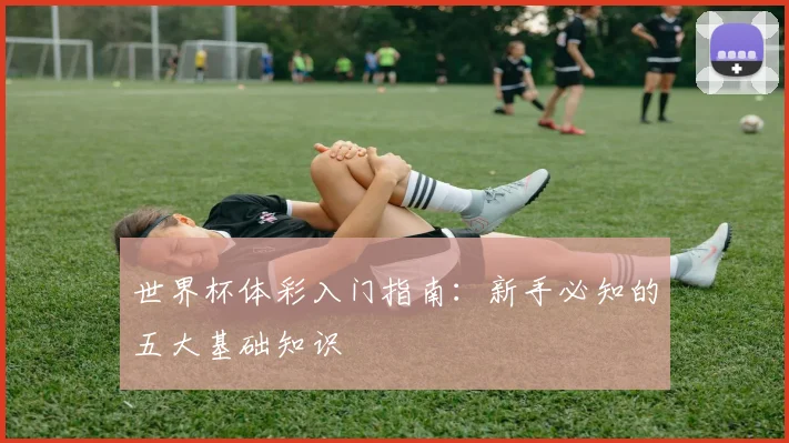世界杯体彩入门指南：新手必知的五大基础知识