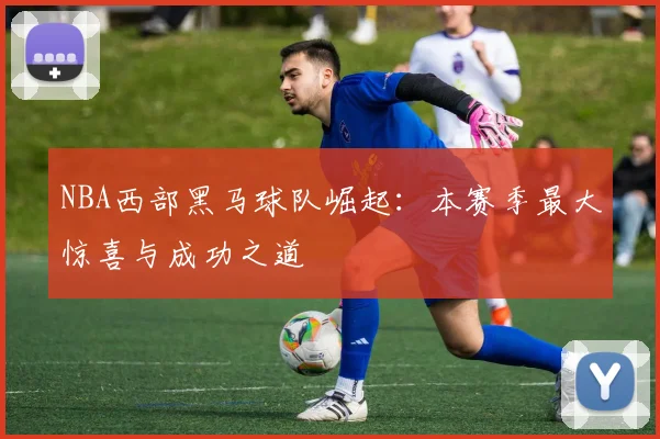 NBA西部黑马球队崛起：本赛季最大惊喜与成功之道