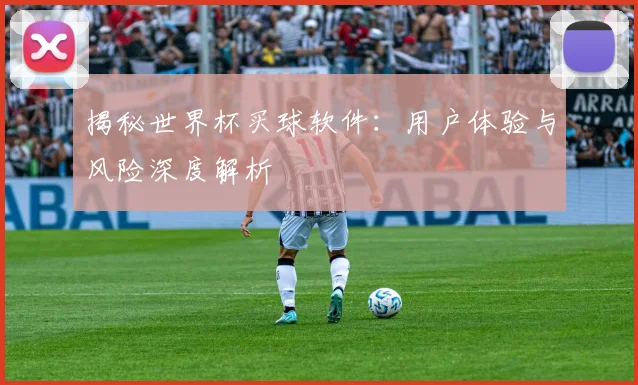 揭秘世界杯买球软件：用户体验与风险深度解析