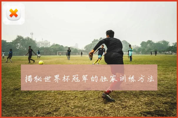 揭秘世界杯冠军的独家训练方法